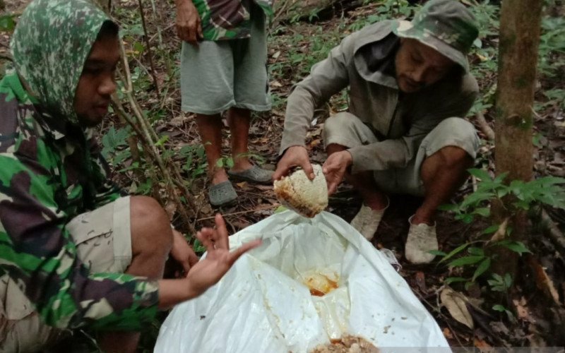  Musim Pandemi, Petani Madu Hutan Banjir Pesanan