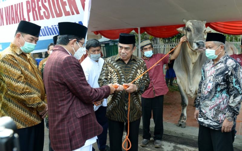  Jokowi Serahkan Sapi Kurban Seberat 1 Ton ke Masjid Istiqlal
