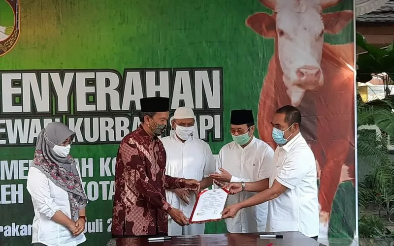  Sembuh dari Covid-19, Wakil Wali Kota Solo Serahkan Sapi dari Jokowi