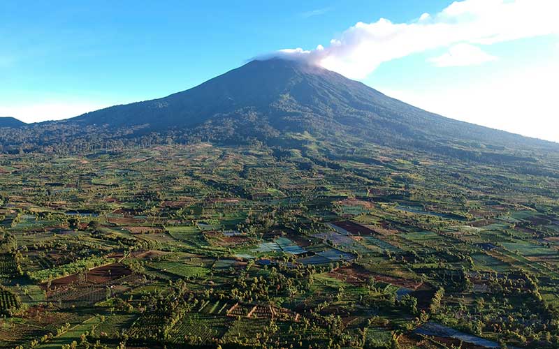  Hutan di Gunung Kerinci Beralih Fungsi Menjadi Lahan Perkebunan