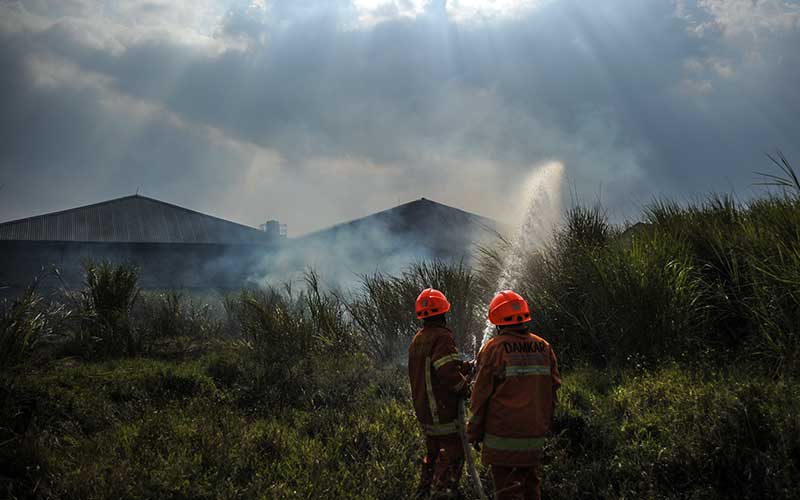  Kebakaran Lahan di Jawa Barat Disebabkan Cuaca Panas Dari Musim Kemarau