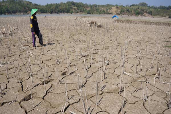  3 Wilayah Alami Kekeringan Ekstrim di Jateng. Ini Lokasinya