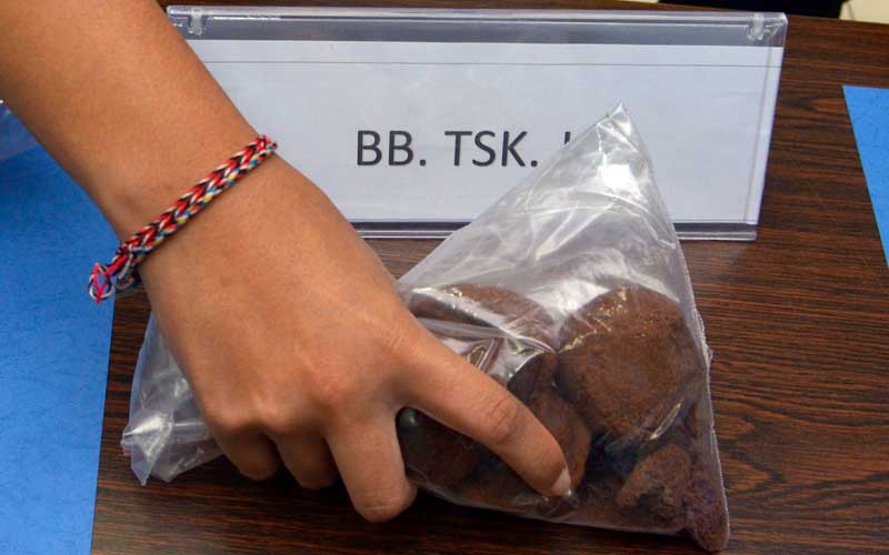  Mahasiswa Asal AS Ditangkap BNN di Bali Karena Menerima Paket Kue Yang Mengandung Narkoba