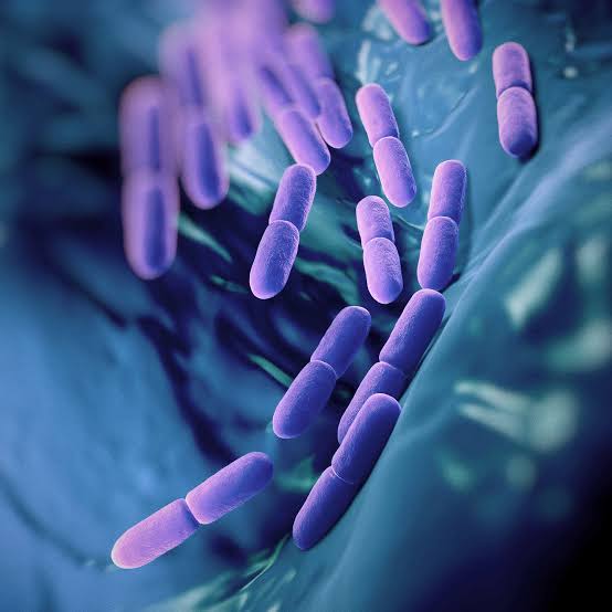  Khasiat Tak Terduga Jika Rutin Konsumsi Probiotik   
