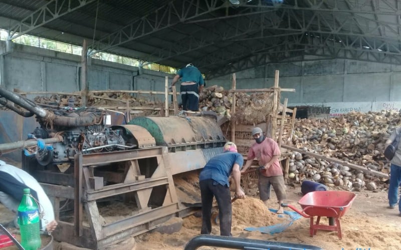  Banyuasin Tingkatkan Nilai Tambah Komoditas Kelapa