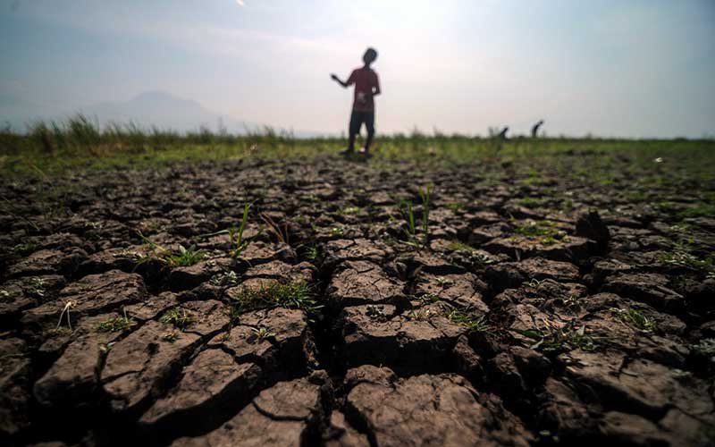  BMKG Peringatkan Potensi Kekeringan Meteorologis di Sejumlah Wilayah Indonesia