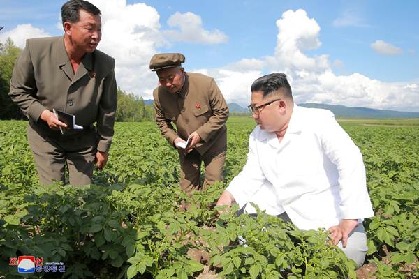  Kim Jong-un Sidak Lokasi Banjir di Korea Utara