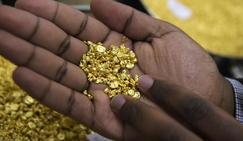 Seorang karyawan memegang beberapa butiran emas di Perth Mint Refiner./ Carla Gottgens - Bloomberg