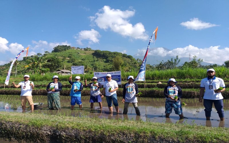  Tingkatkan Produktivitas Pertanian, Pupuk Kaltim Kembali Gelar Demplot Padi di Desa Peladung Bali