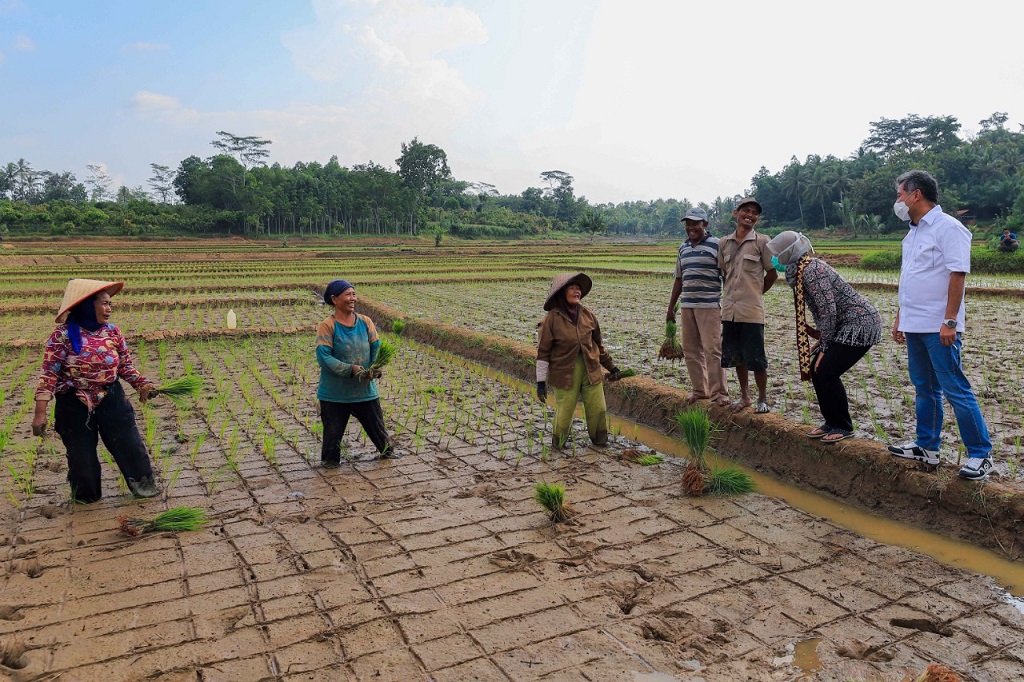  Capai Target, Penyaluran Dana PEN BRI Tembus Rp 30 Triliun