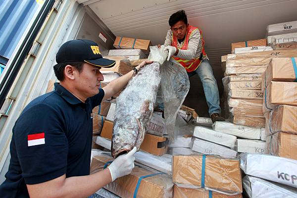 KKP dan Polri Gagalkan Penyelundupan 54,9 Ton Ikan Patin Senilai Rp2,7 Miliar