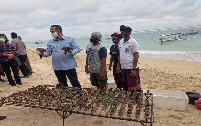  Petani Karang Hias di Pantai Pandawa Bali Tetap Ekspor Dikala Pandemi