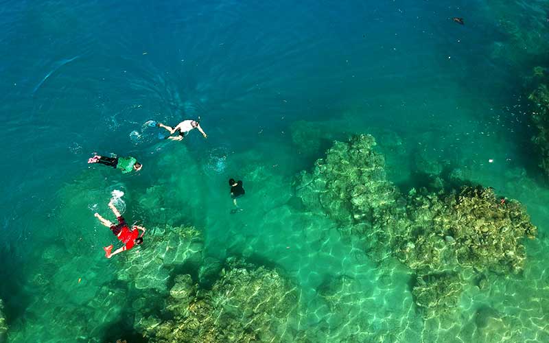  Wisatawan Membersihkan Sampah Platik di Objek Wisata Hiu Paus Gorontalo