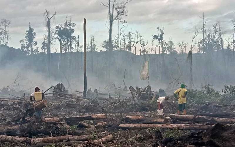  Kebakaran Hutan dan Lahan Gambut di Sulawesi Tenggara Dikarenakan Cuaca Panas