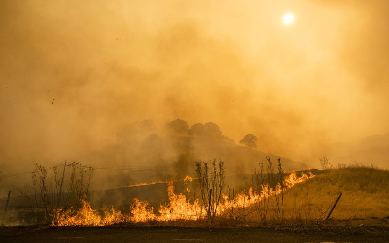  Kebakaran Hutan Skala Besar Tambah Beban Krisis di California