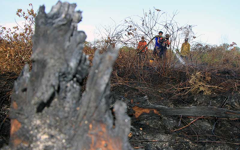  Cegah Karhutla, BNPB Terjunkan 6.000 Personel di 6 Provinsi