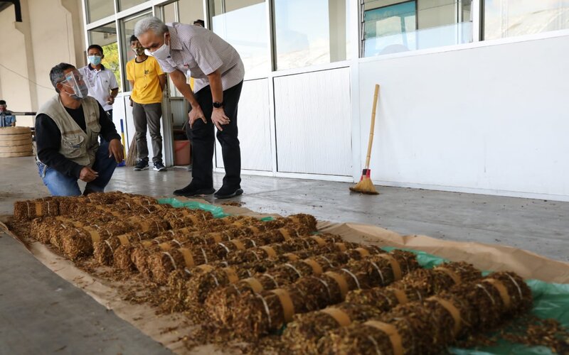  Ganjar Cek Kesanggupan Industri Serap Tembakau Petani