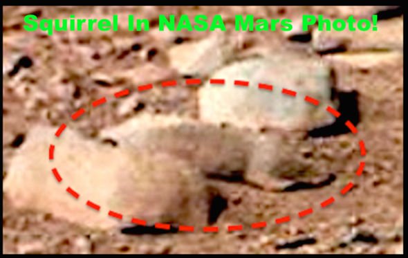 Foto dari NASA yang menduga tupai alien hidup di Planet Mars./NASA
