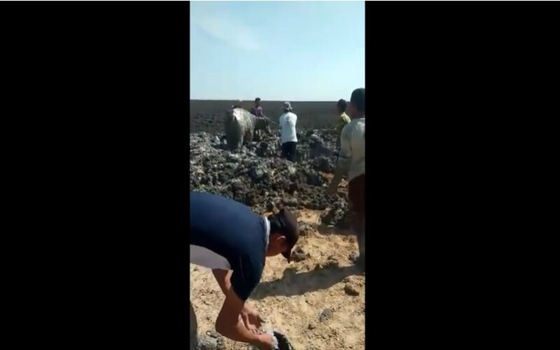  Letusan Kawah Oro-oro Kesongo Blora, Polisi Selidiki Kepastian Kerbau Tertimbun