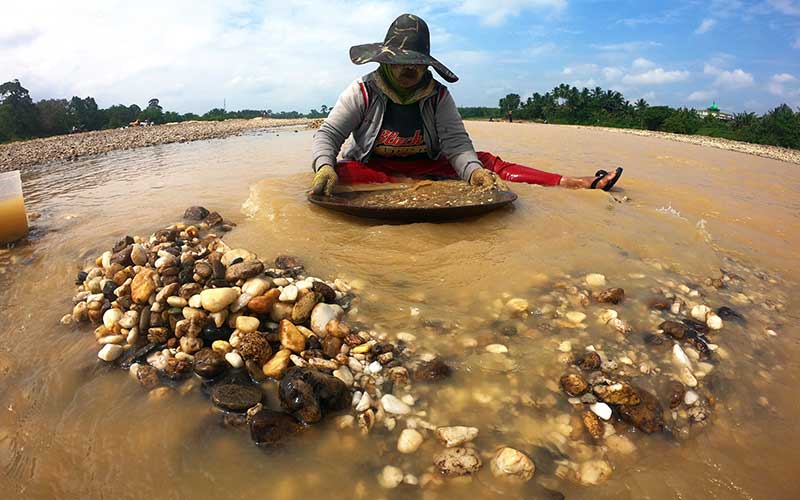  Penambang Emas Tradisional di Jambi Kembali Marak Saat Air Sungai Surut