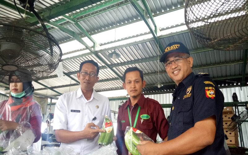  Pemkab Blitar Kembangkan Sentra Tanaman Pisang Cavendish Rakyat