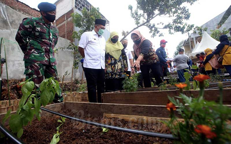  Peluncuran Teras Hijau Project di Bandung Untuk Mendukung Bisnis Tumbuh-Tumbuhan