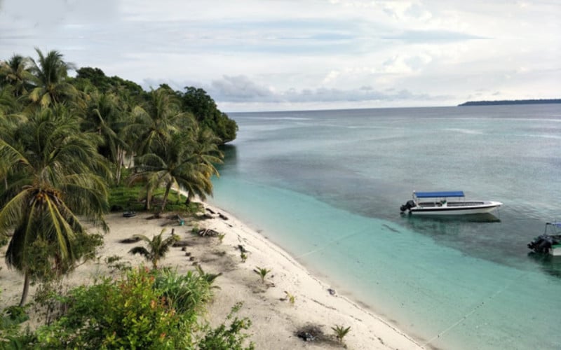  Dapat Izin Lokasi, 3 Perusahaan Lakukan Konservasi Alam di Maratua