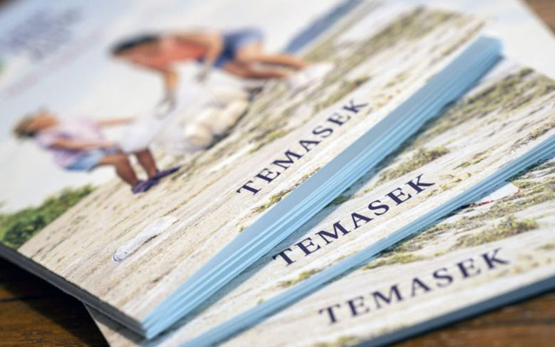  Portofolio Temasek Holdings Tumbuh Minus, Pertama dalam 4 Tahun