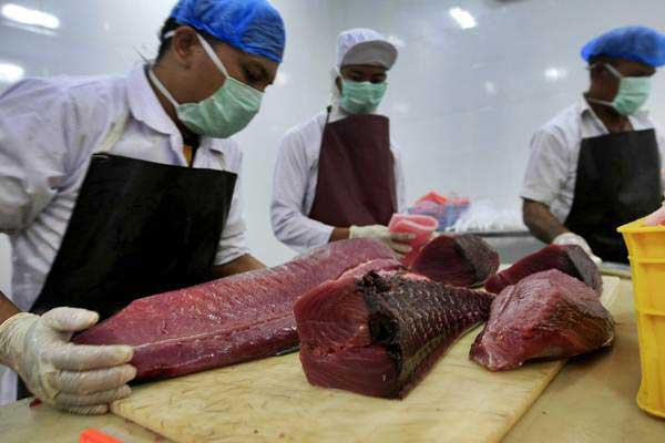  Sulawesi Utara Pacu Ekspor Ikan Tuna ke Jepang dan China