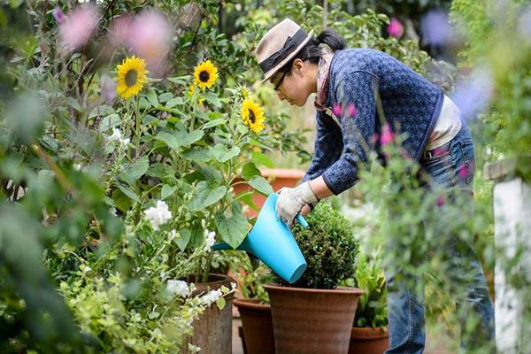 Berkebun./Istimewa