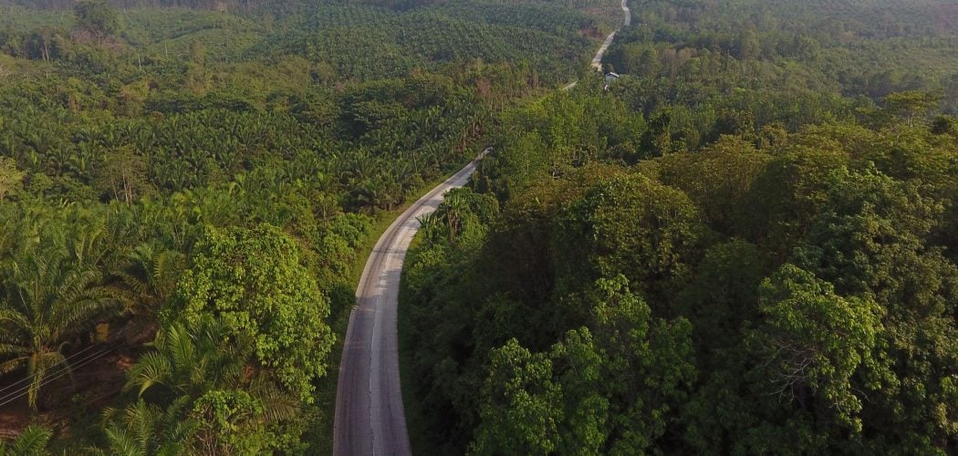  Komoditas Andalan Indonesia Terancam Terganggu La Nina, Apa Saja?