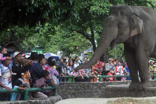  Ragunan Tutup Selama PSBB, Warganet Khawatirkan Kondisi Satwa