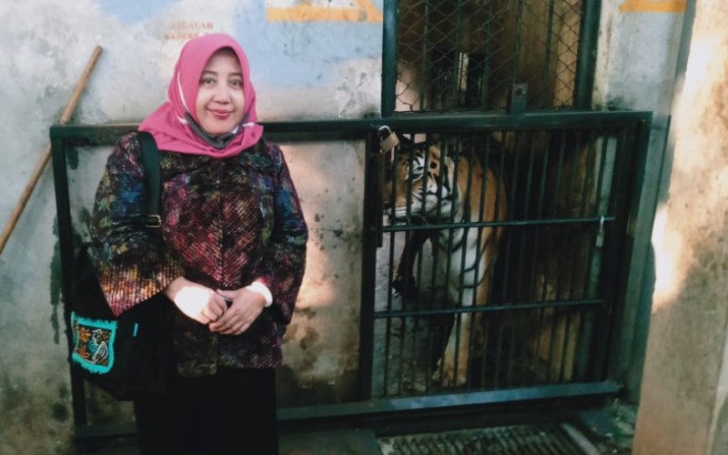Salah satu pejabat Pemprov Jatim turun langsung ke Maharani Zoo untuk memastikan kondisi Harimau yang viral dalam sebuah video di media sosial lantaran berpenampakan kuru/Twitter-@EmilDardak