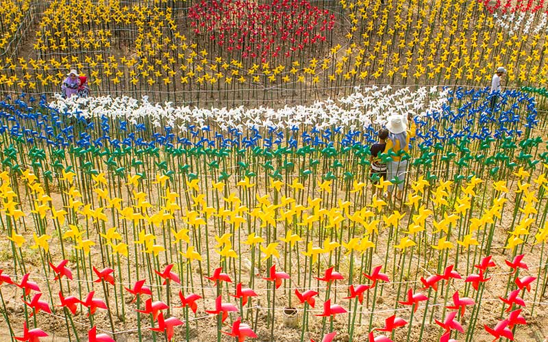  Taman Kincir Angin Marigold Garden di Jawa Barat Tawarkan Spot Foto Yang Instagramable