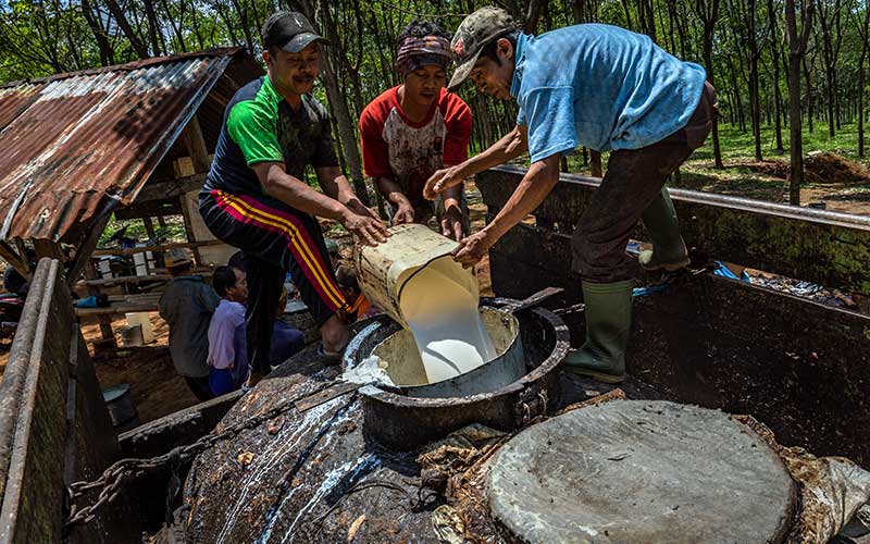  Industri Pengolahan Karet Sumbang Devisa Negara Senilai US$ 4.422 Miliar Pada 2019