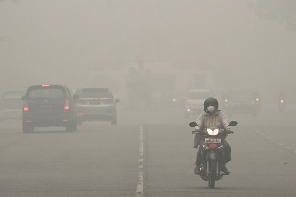  Asap Kebakaran Hutan Dapat Tingkatkan Risiko Covid-19