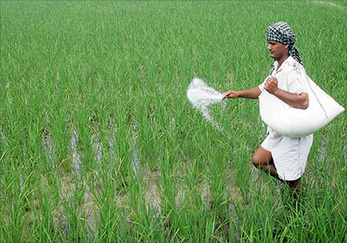  Tak Terganggu Covid-19, Agri Sumba Genjot Produksi Pupuk NPK