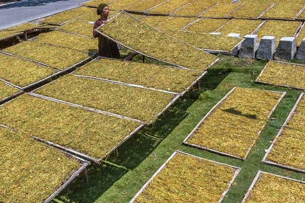  Petani Tembakau Imbau Pabrikan Liquid Gunakan Daun Tembakau