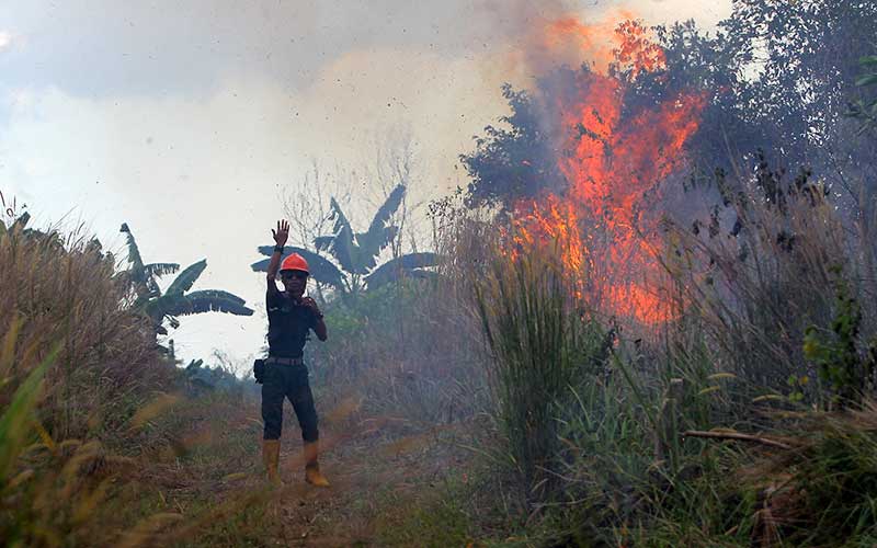  Kebakaran Hutan Dan lahan di Kalimantan Selatan Mulai Marak Terjadi