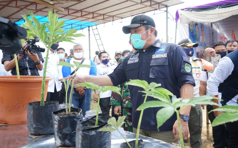  Pilkada Tujuh Daerah di Sumsel, Gubernur: Belum Ada Alasan Menunda