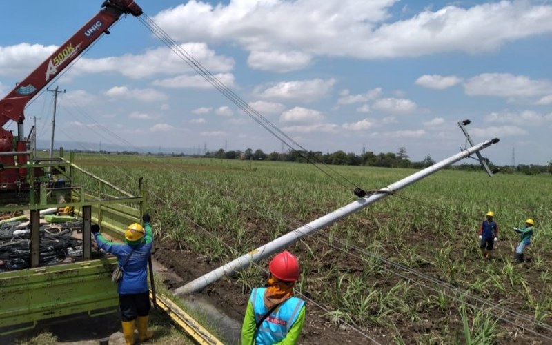  Hujan Deras dan Angin Kencang Robohkan 1.012 Gardu Trafo di Kudus