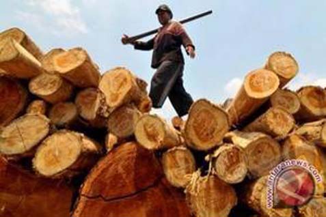  Hutan Jatim Diproyeksi Bisa Produksi Kayu 526.474 m3 Tahun Ini