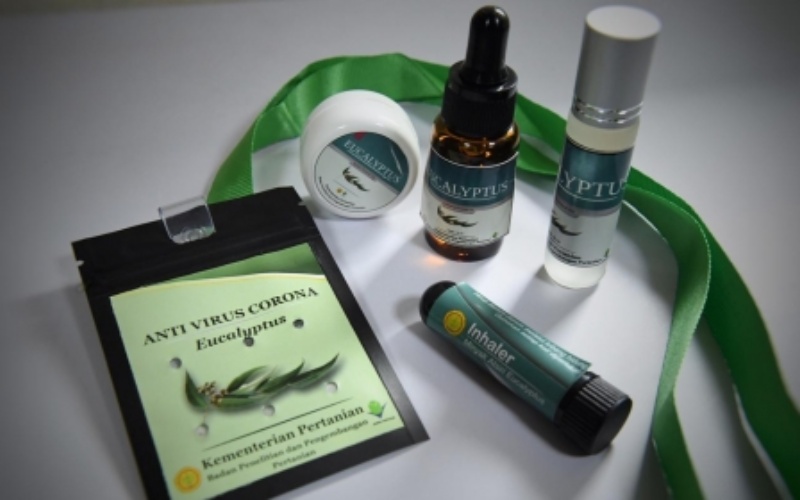  8 Herbal dan Senyawa Aktif dalam Riset Covid-19 di Indonesia 