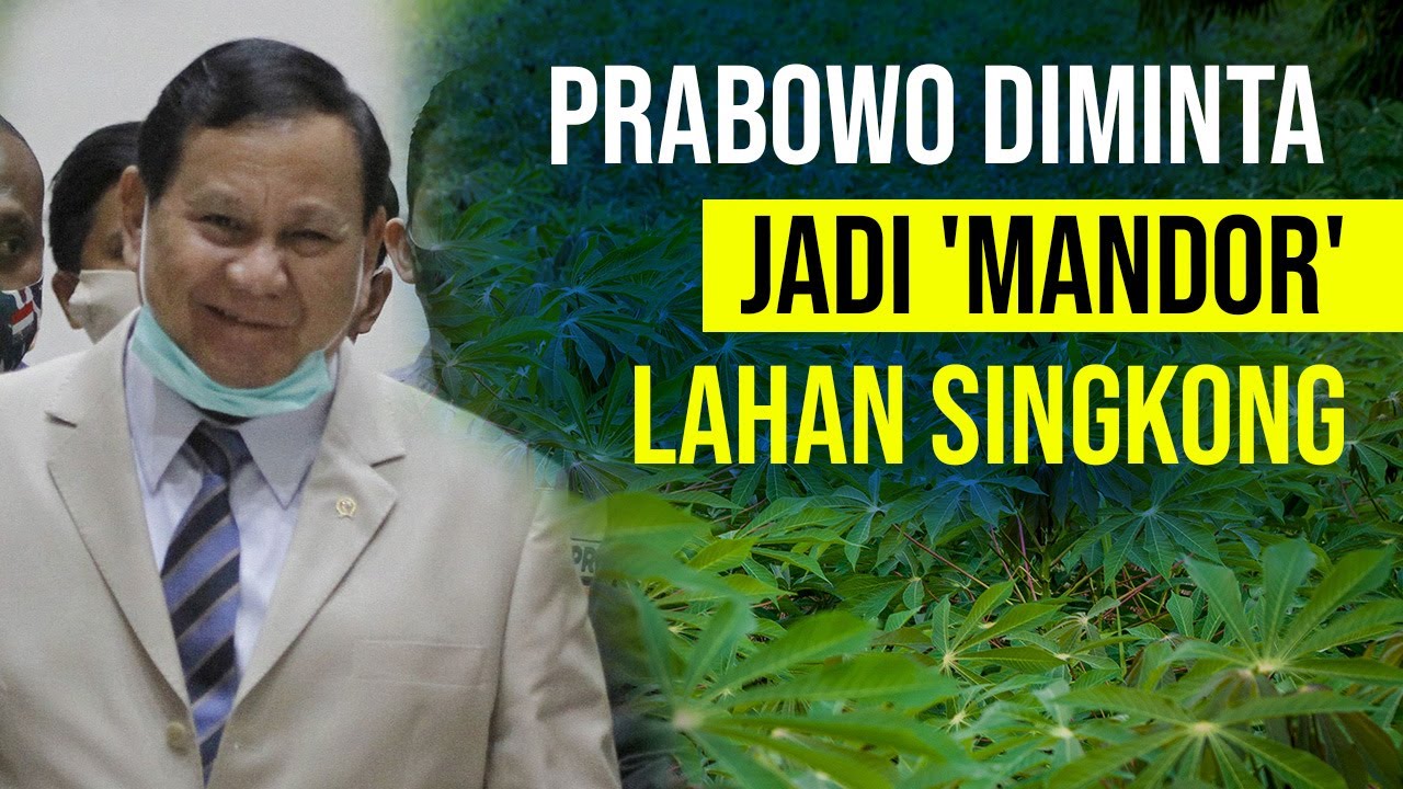  Jokowi Kasih Kerjaan Baru ke Menhan Prabowo