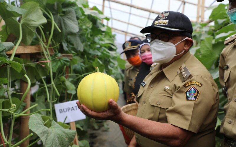  Pemkab Blitar Dorong Petani Hortikultura Adopsi Sistem Green House