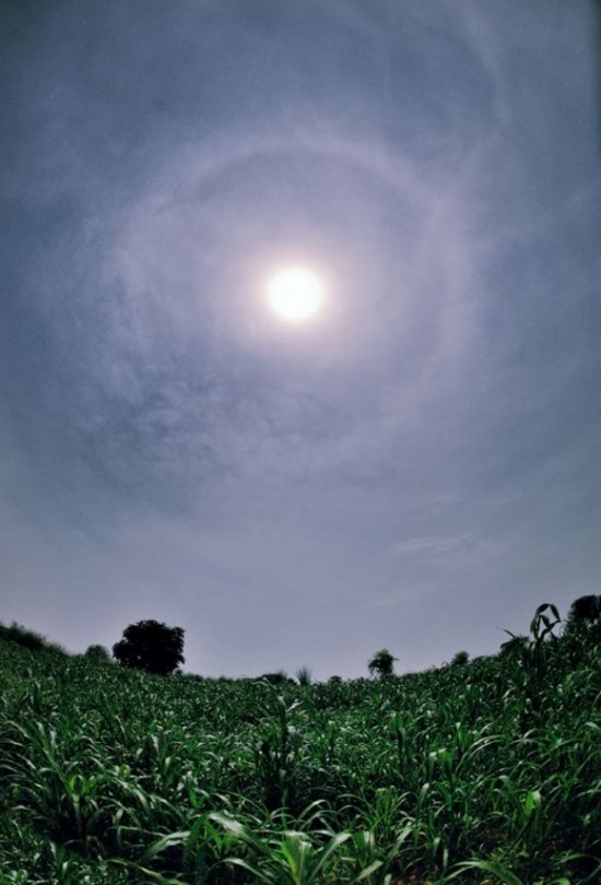  Fenomena Halo Matahari Terjadi Hari Ini, Apa Artinya?