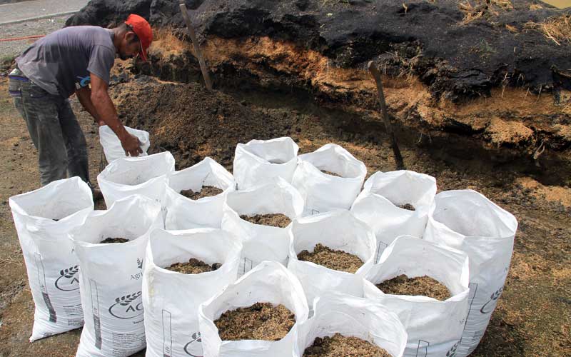 Permintaan Pupuk Organik Naik 200 Persen Selama Masa Pandemi Covid-19
