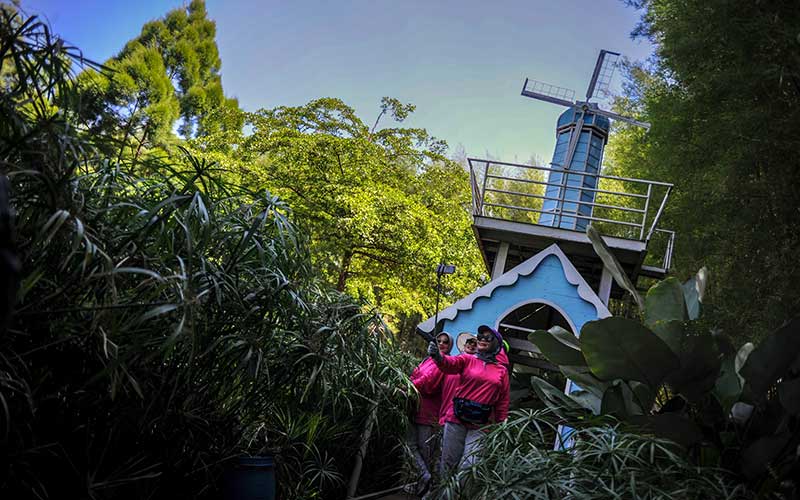  Wisata Kampoeng Tulip di Bandung Menyuguhkan Suasana Khas Belanda