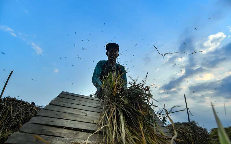  Pemerintah Menyatakan Stok Pangan Indonesia Masih Aman Hingga Akhir 2020