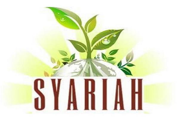  Bos BRI Syariah Beberkan Bukti Keuangan Syariah Solusi Pemulihan Ekonomi